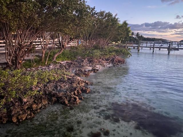 Bahia Bay Resort Key Largo Luaran gambar